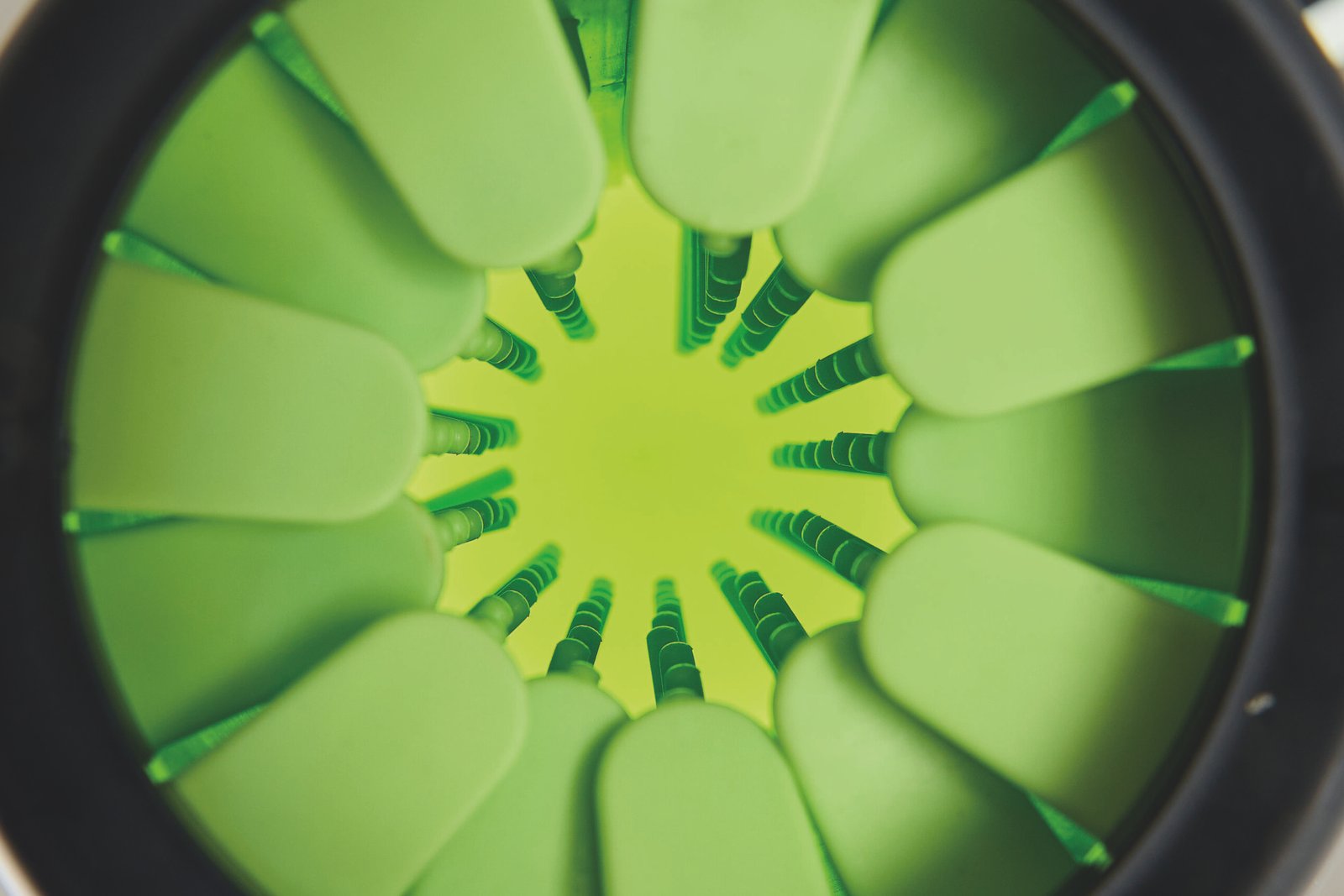 M-PETS_60103199_PAW SCRUBBER_M_Product_interior_HOR_CMYK